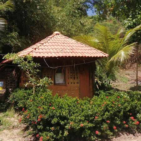 אלגודואל Ecopousada Casa Do Carimbo Fortalezinha מראה חיצוני תמונה